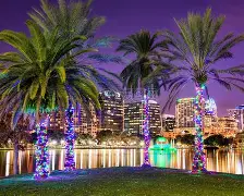 金州勇士vs奥兰多魔术