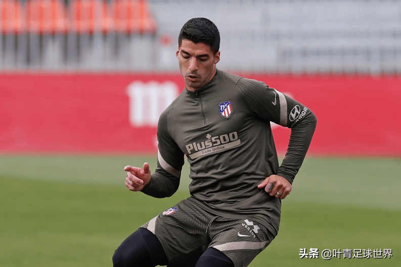 辽宁本钢男篮今晚直播